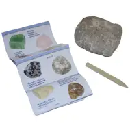 Minerals &amp; Fossils surpriză