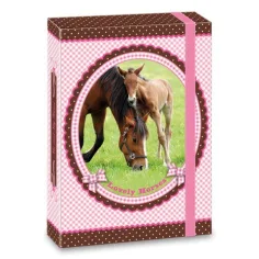 My Horse cutie de birou A5