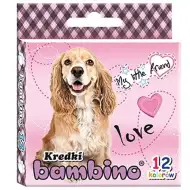 My Little Friend set cretă cerată 12 bucăţi