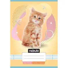 Nebulo: Caiet cu linii pentru clasa a 2-a A5 16-32 Animale - Pisici