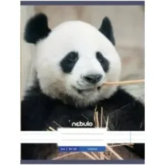 Nebulo: Panda caiet neted A4 80-32