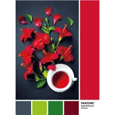Puzzle Pantone Ceai de hibiscus, 1000 de piese - Clementoni imaginea 2