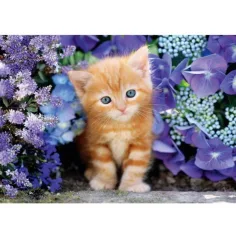 Pisica roșie printre flori 500buc HQC puzzle compact - Clementoni imaginea 2