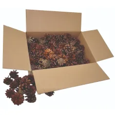 PlayBox: Set de conuri de brad de 125 de bucăți