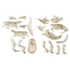 Science&Play: Archeofun T-rex și Triceratops luminează set de arheolog - Clementoni imaginea 3