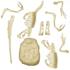 Science&Play: Archeofun Velociraptor luminează set de arheolog - Clementoni imaginea 3