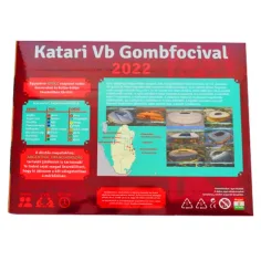 Set de joc Katari VB Fotbal cu mingea 2022 imaginea 2