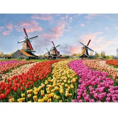 Puzzle cu diamante: Set de pictură cu diamante pe câmpul de lalele olandeze 30x40cm