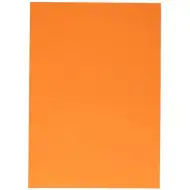 Spirit: Carton decorativ culoarea portocaliu deschis 220g mărimea A4