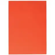 Spirit: hârtie carton decorativ foaie culoarea portocaliu 70x100cm 1bc