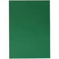 Spirit: Hârtie decorativă carton culoare verde 70x100cm