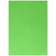 Spirit: Verde deschis carton decorativ 220g mărimea A4 1 bucată