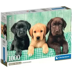 Trei căței labrador 1000 de piese puzzle cu poster - Clementoni