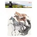 Animal World set de 5 cai
