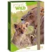 Ars Una: Icons of the Wild Lions cutie pentru caiete format A/4