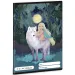 Ars Una: Northern Lights caiet cu linii A5 21-32