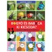 Bogyó și Babóca: Cine este cine? Personajele seriei în natură - Pagony