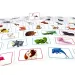 Concept Kids Animale joc de societate