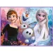 Disney: Regatul de gheață 2 - Prințese pe globul lor puzzle și joc de memorie 2 în 1 set - Trefl