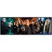 Harry Potter - Războinicii lumii magice puzzle panoramic de 1000 de piese cu poster - Clementoni