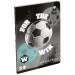 ICO: Lizzysuli Top League FTW caiet de vocabular A5 31-32