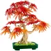 LEGO® Botanicals: Bonsai de arțar japonez cu frunze roșii (10348)