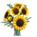 LEGO® Botanicals: Buchet de floarea-soarelui (11502) imaginea 3