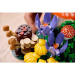 LEGO® Botanicals: Ciuperci de pădure (11505)