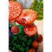 LEGO® Botanicals: Ciuperci de pădure (11505)