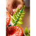 LEGO® Botanicals: Ciuperci de pădure (11505)
