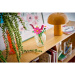 LEGO® Botanicals: Flori de fluture (11514)