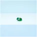 LEGO® Creator: Țestoasă cu o floare de nufăr (31377)
