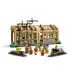 LEGO® Harry Potter: Castelul Hogwarts™: Ora de Herbologie (76445)