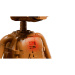 LEGO® Ideas: E.T. - Extraterestrul (21370)