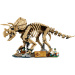 LEGO® Jurassic World™: Fosile de dinozaur: Triceratops (77985)