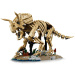 LEGO® Jurassic World™: Fosile de dinozaur: Triceratops (77985)