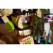 LEGO®: Shrek, Măgarul și Motanul Încălțat (72423)