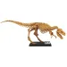 Luna: Set arheologic T-Rex uriaș 40cm