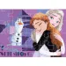 Luna: Set puzzle 4-în-1 Frozen