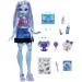 Monster High Îngrijire de groază păpușa Abbey Bominable cu accesorii - Mattel