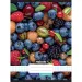 Nebulo: Caiet cu pătrățele, format A/4, cu cotor metalic, cu model de fructe, 87-32