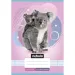 Nebulo: Caiet liniat capsat pentru clasa a 2-a, format A5, 16-32 pagini, cu animale - cu koala