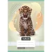 Nebulo: Caiet liniat pentru clasa a 3-a, format A5, 12-32, cu animale - Leopard