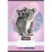 Nebulo: Caiet simplu capsat A5, 20-32 file, cu animale - Koala ursuleț