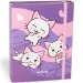 Nebulo: Cutie pentru caiete, format A/5, cu model pisicuțe