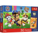 Paw Patrol puzzle premium plus pentru copii, 30 de piese, cu poster - Trefl