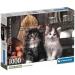 Pisicuțe adorabile HQC puzzle 1000 de piese - Clementoni