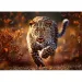 Puzzle Leopard Premium Plus 1000 de piese - Trefl