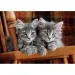 Puzzle compact HQC cu 500 de piese - pisici gri - Clementoni