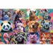 Puzzle cu 300 de piese – Portrete amuzante de animale - Trefl